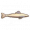 蓝斑鲶鱼.png