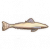 蓝斑鲶鱼.png