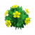 黄色木槿.png