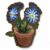 蓝雏菊花盆.png