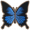 天堂凤蝶.png