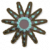 十一足海星.png