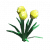 鼓槌花.png