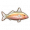 羊鱼.png