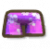 紫色假日短裤.png