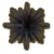 刺海胆.png