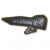 荧光滑翔翼.png