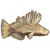 狮子鱼.png
