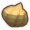 洋葱.png