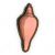 澳洲海螺壳.png
