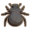 皮金龟.png