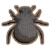 皮金龟.png