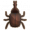 犀牛甲虫.png