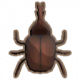 犀牛甲虫.png