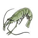 文件:青虾.png