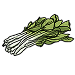 文件:白菜.png