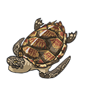 文件:鳖.png