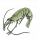 青虾.png
