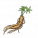 人参.png
