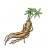 人参.png