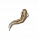 当归.png