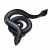 墨鳞鳗.png