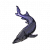 紫尾鲟.png