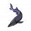 紫尾鲟.png