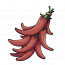 辣椒.png