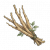 云州甘草.png