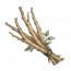 云州甘草.png