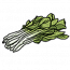 白菜.png