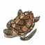 鳖.png