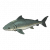 金线鳇.png