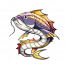 金背龙鱼.png