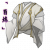 「百炼」素月长衣.png