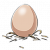 鸡蛋.png
