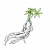 沙参.png