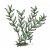 云河水草.png