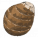 芋头.png