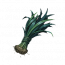 漕仓水草.png
