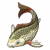 黄河鲤.png