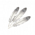 白枭羽.png