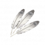 白枭羽.png