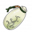 梨香瓶.png