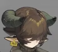夏希正面照.png