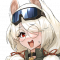 伊尔米拉正面照.png
