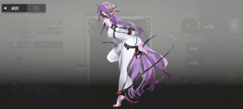 伊丽莎白经典外观.png