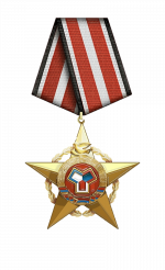 人民友谊之星（二级）.png
