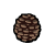 Tree-seed03-icon.png